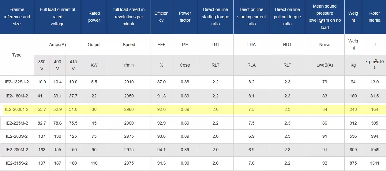 τριφασικός-ηλεκτροκινητήρας-IE2-CI-200L1-2-4